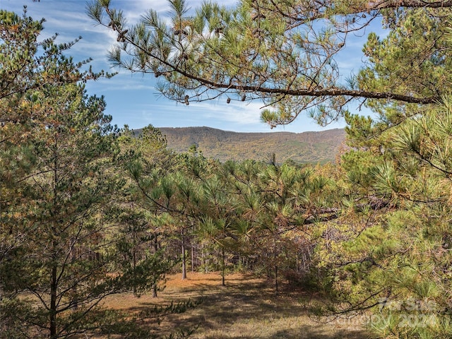 00 River Park Ln Unit 27, Mill Spring, NC 28756 - photo 4