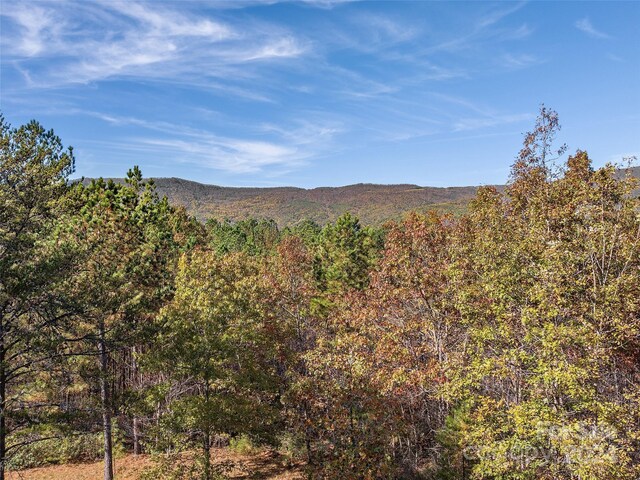 00 River Park Ln Unit 27, Mill Spring, NC 28756 - photo 5
