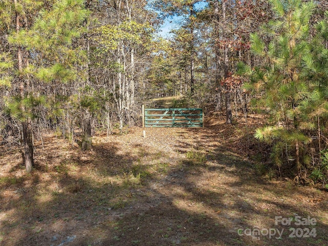 00 River Park Ln Unit 27, Mill Spring, NC 28756 - photo 10