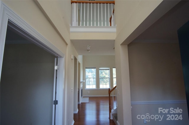 hallway with dark hardwood / wood-style floors and crown molding