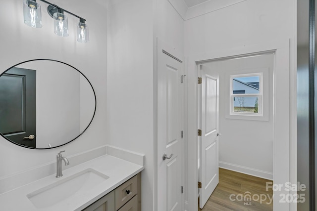 bathroom with vanity and wood-type flooring