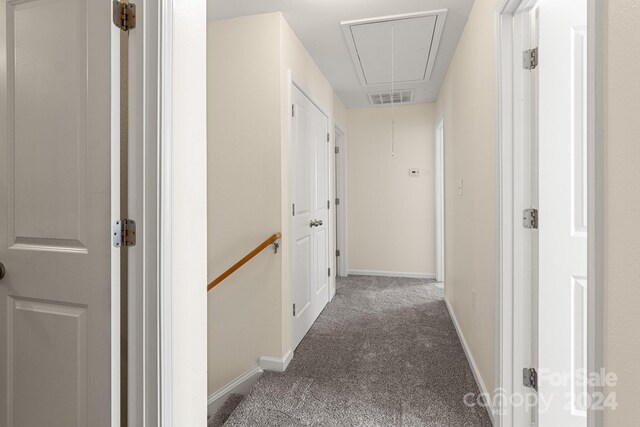 hallway featuring carpet floors