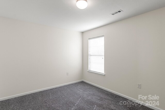 spare room with carpet floors