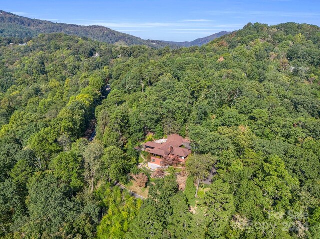 aerial view with a mountain view