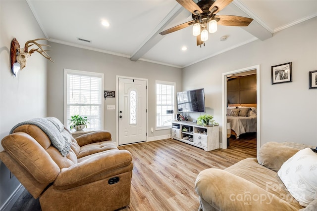 living room with beam ceiling, crown molding, light hardwood / wood-style flooring, and ceiling fan