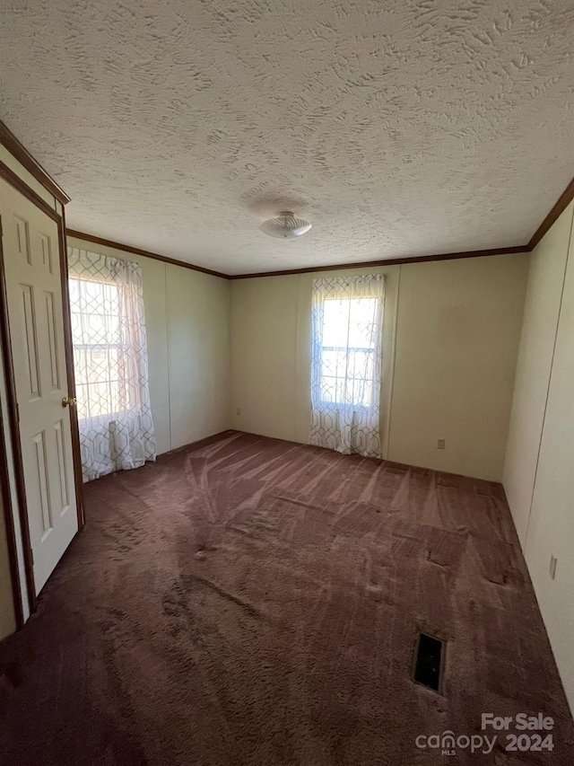 carpeted spare room featuring crown molding and a textured ceiling