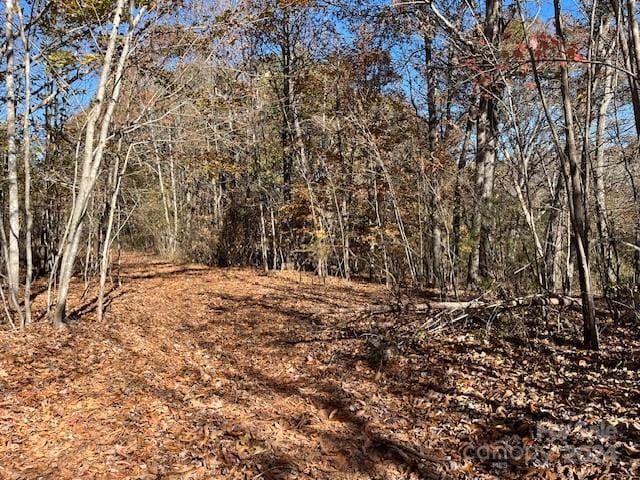 Listing photo 3 for 00 Stikeleather Rd, Hiddenite NC 28636