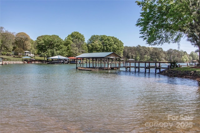 dock area with a water view