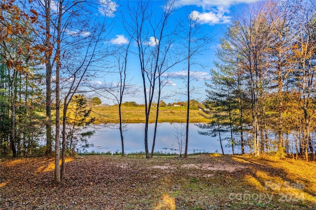 169 Rimmer Farm Rd, Troutman, NC 28166 - water view