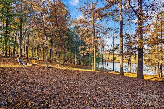 169 Rimmer Farm Rd, Troutman, NC 28166 - view of yard featuring a water view and a forest view