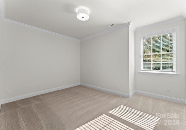 carpeted spare room featuring crown molding