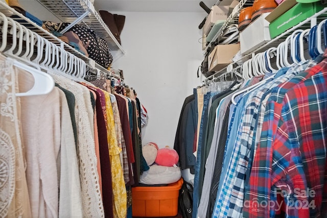 view of walk in closet