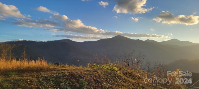 92 Prestige Pt, Waynesville NC, 28785 land for sale