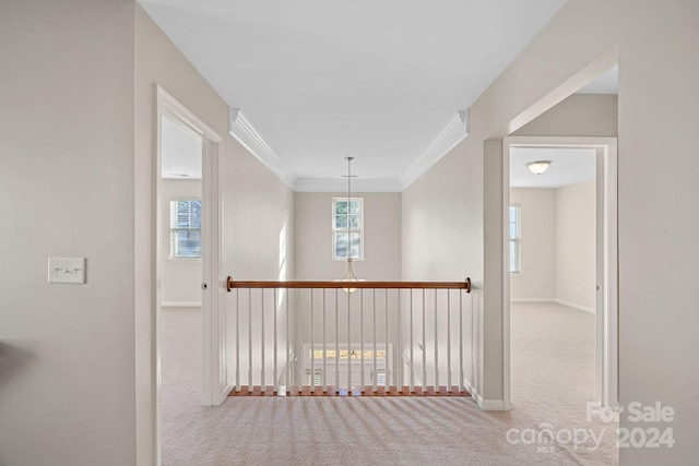 hallway featuring carpet flooring and ornamental molding