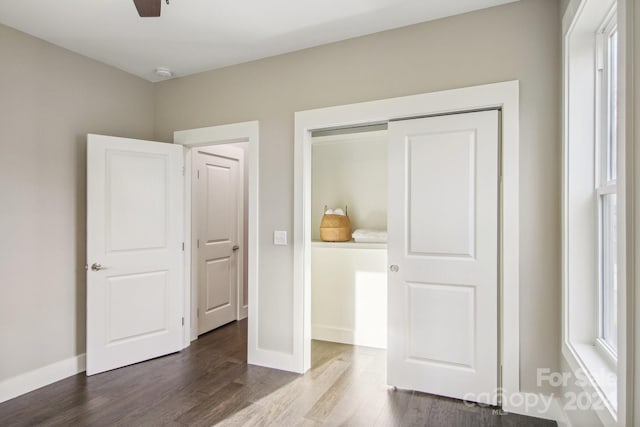 unfurnished bedroom with a closet, dark hardwood / wood-style flooring, and ceiling fan