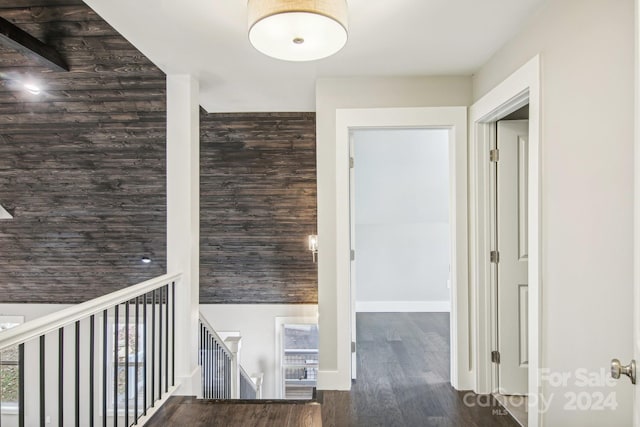 hall featuring a healthy amount of sunlight, dark wood-type flooring, and wooden walls