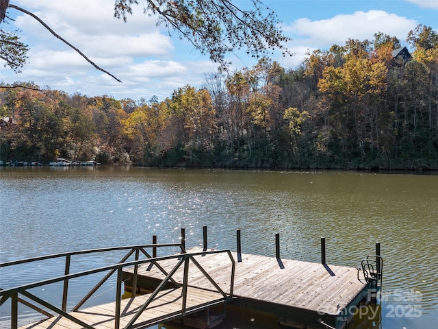 view of dock with a water view