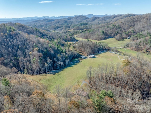 birds eye view of property with a mountain view