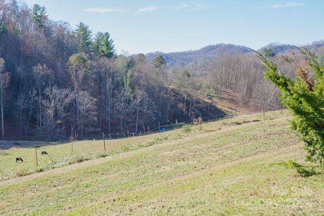 mountain view featuring a rural view