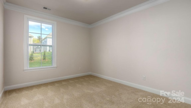 carpeted empty room featuring crown molding