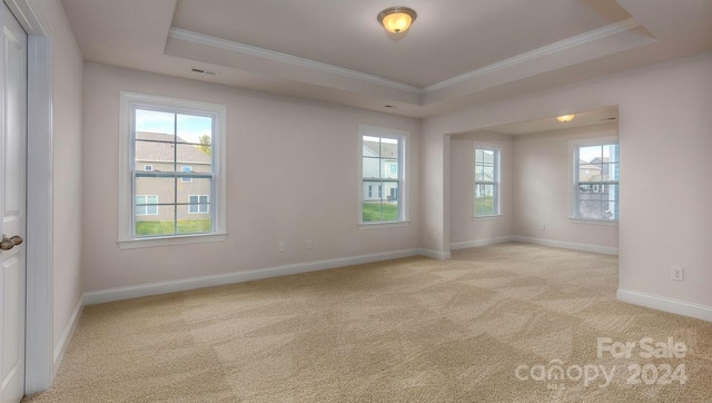 carpeted spare room with a tray ceiling, plenty of natural light, and ornamental molding