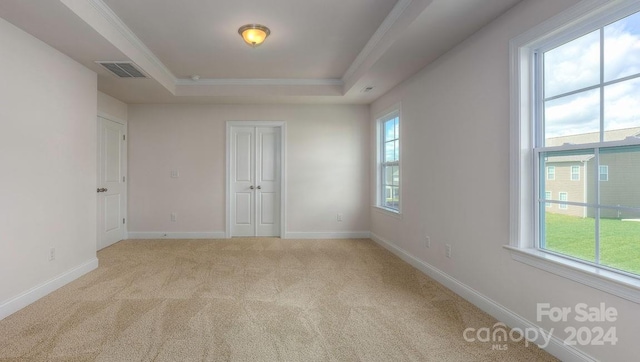 unfurnished room featuring a tray ceiling, light carpet, plenty of natural light, and crown molding