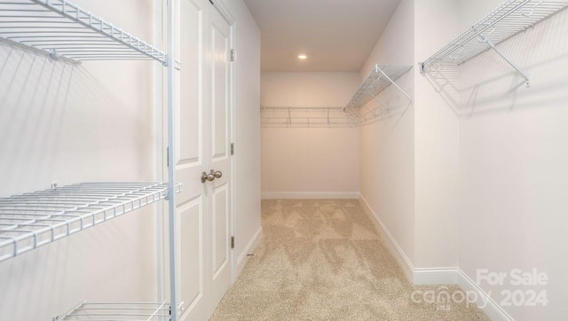 spacious closet featuring light colored carpet