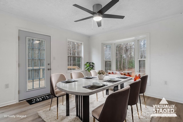 dining area with a textured ceiling, ceiling fan, light hardwood / wood-style floors, and crown molding