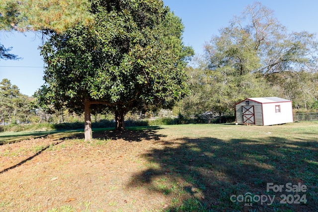 view of yard with a storage unit