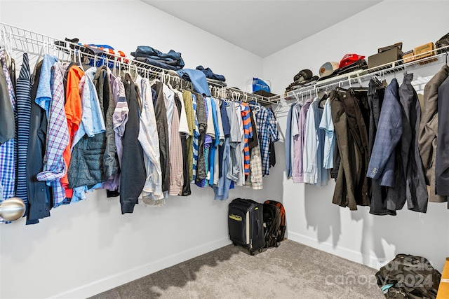 spacious closet featuring carpet