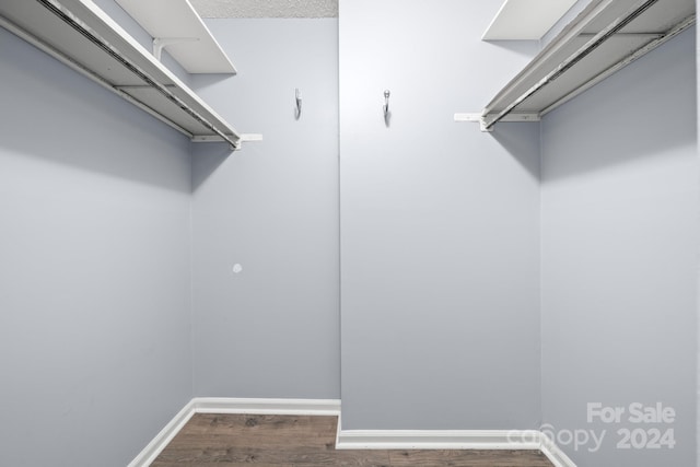 spacious closet with dark hardwood / wood-style floors