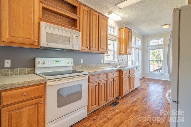 kitchen with white appliances, sink, crown molding, light hardwood / wood-style flooring, and a textured ceiling