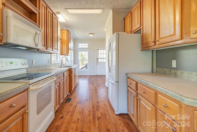 kitchen featuring a textured ceiling, white appliances, crown molding, sink, and light hardwood / wood-style floors