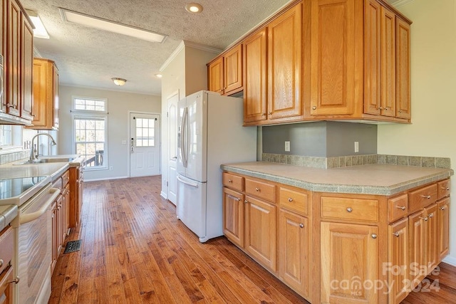 kitchen featuring ornamental molding, white appliances, a textured ceiling, sink, and light hardwood / wood-style floors