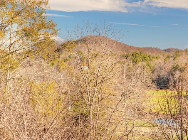 view of mountain feature