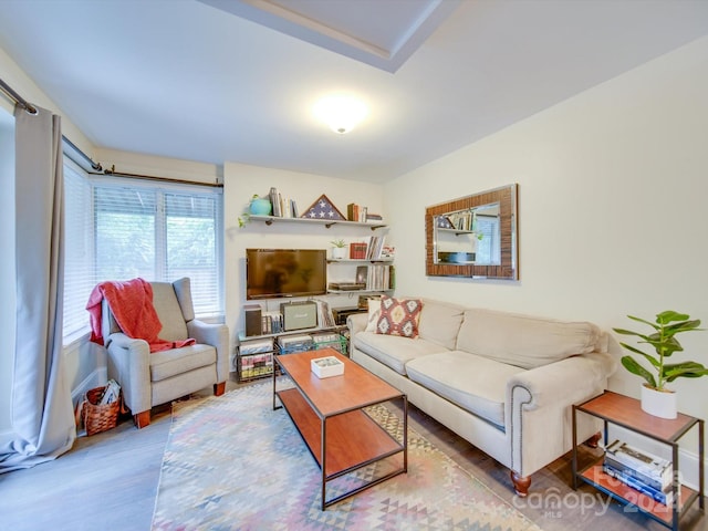 living room with light wood-type flooring