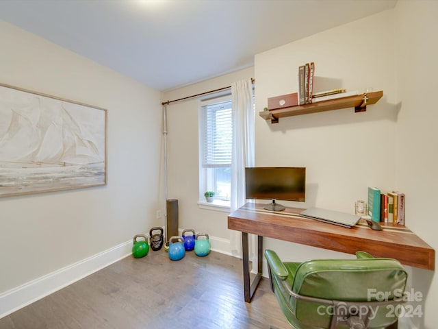 office featuring wood-type flooring