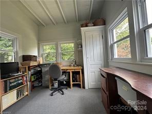 carpeted office space with a healthy amount of sunlight