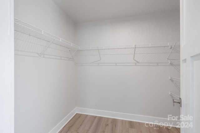 spacious closet featuring hardwood / wood-style flooring