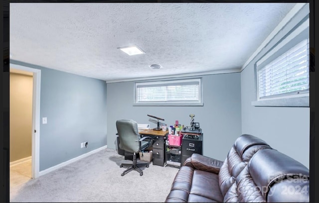 carpeted office with a wealth of natural light and a textured ceiling