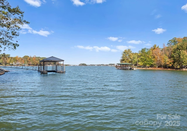 dock area with a water view