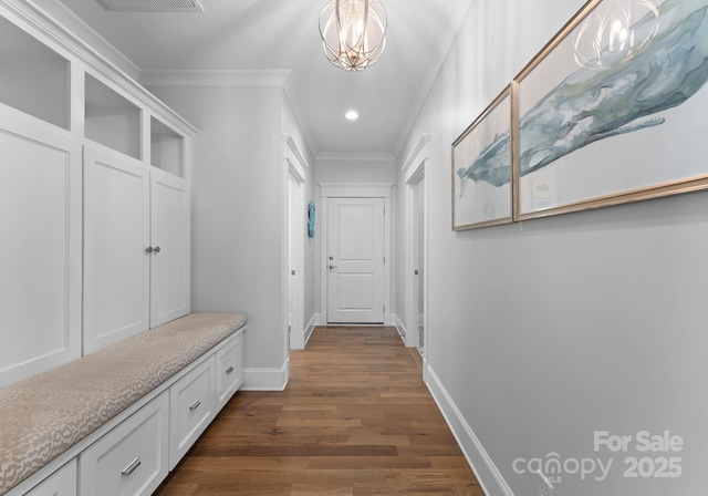 mudroom featuring crown molding, a chandelier, and dark hardwood / wood-style floors