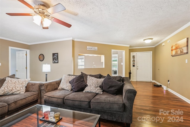 living room featuring crown molding, ceiling fan, wood-type flooring, and a textured ceiling