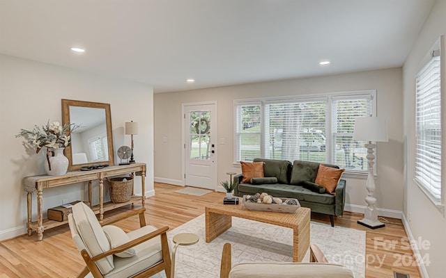 living room with light hardwood / wood-style flooring