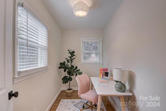 office area featuring hardwood / wood-style flooring and a healthy amount of sunlight