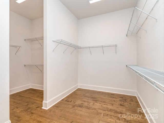 walk in closet with hardwood / wood-style floors