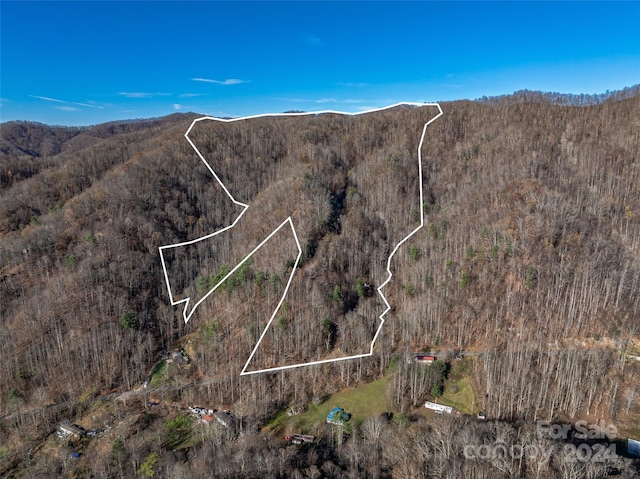 99999 Walnut Creek Rd, Marshall NC, 28753 land for sale