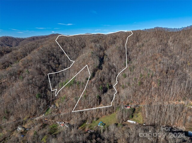 99999 Walnut Creek Rd, Marshall, NC 28753 - photo 1