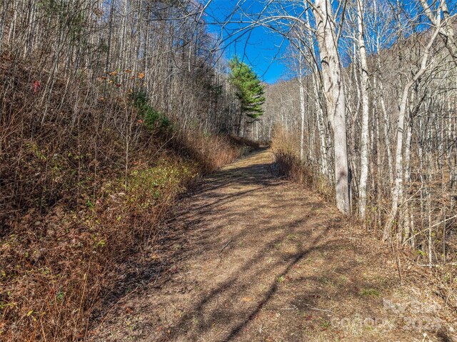 99999 Walnut Creek Rd, Marshall, NC 28753 - photo 3