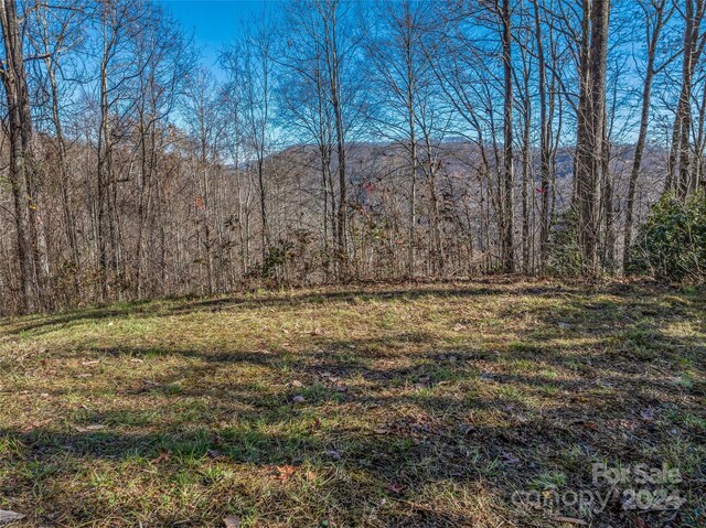 99999 Walnut Creek Rd, Marshall, NC 28753 - photo 4